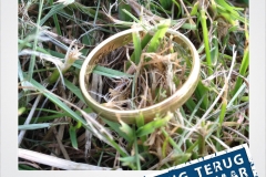 Trouwring verloren en gevonden in het gras - Renesse - Metaaldetector Zoekservice Zeeland