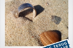 Trouwring verloren strand Cadzand Metaaldetector Zoekservice Zeeland